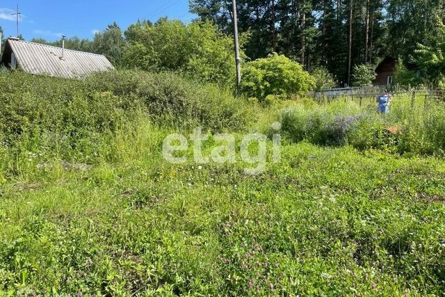 городской округ Красноярск, СНТ Южное фото