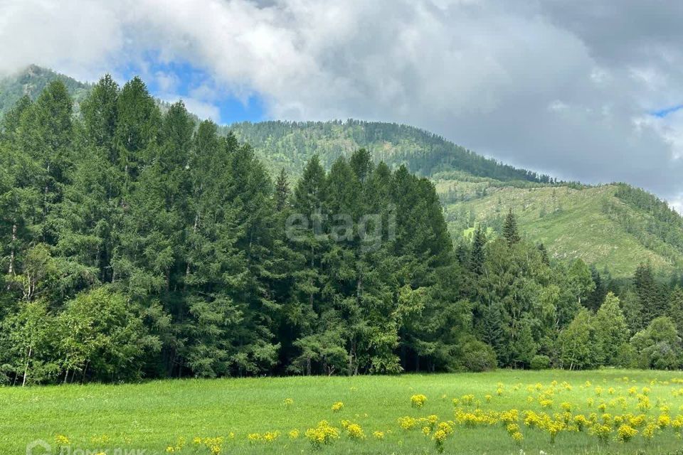 земля р-н Онгудайский село Туекта фото 1