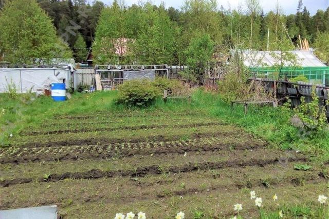 городской округ Красноярск, садоводческое некоммерческое товарищество Победа фото