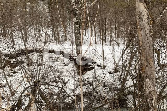 ул Лесная городской округ Красноярск фото