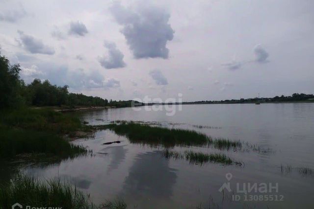 городской округ Омск, садоводческое некоммерческое товарищество Жилищник фото