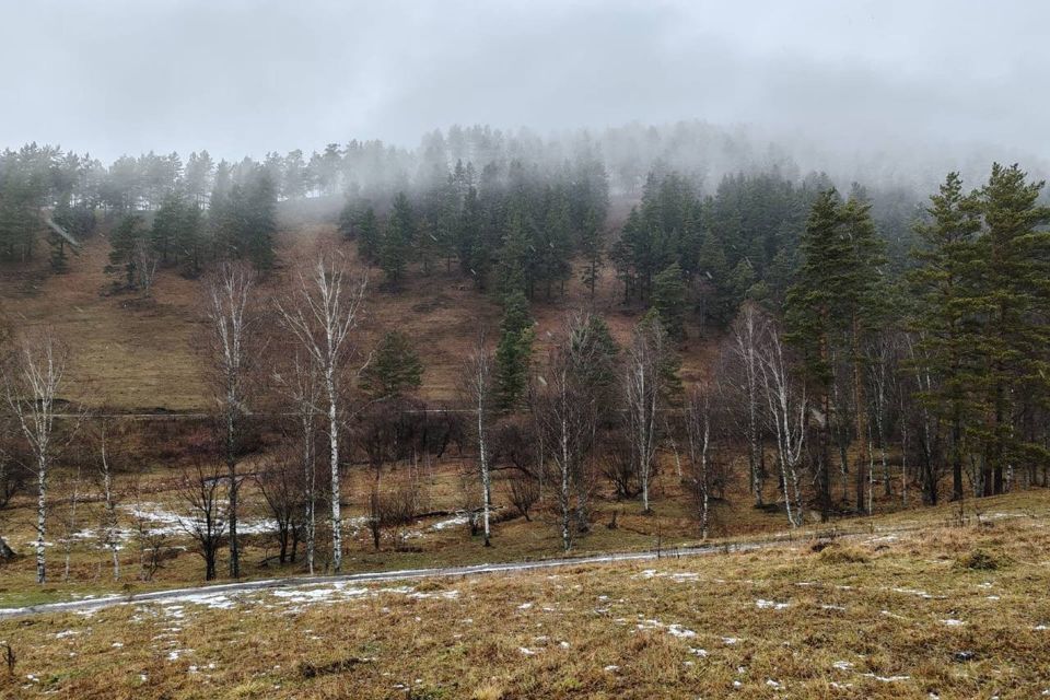 земля р-н Бичурский село Малый Куналей фото 2