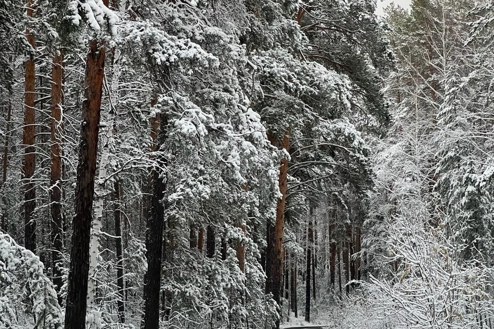 дом г Карабаш п Красный Камень Карабашский городской округ, 2 фото 8