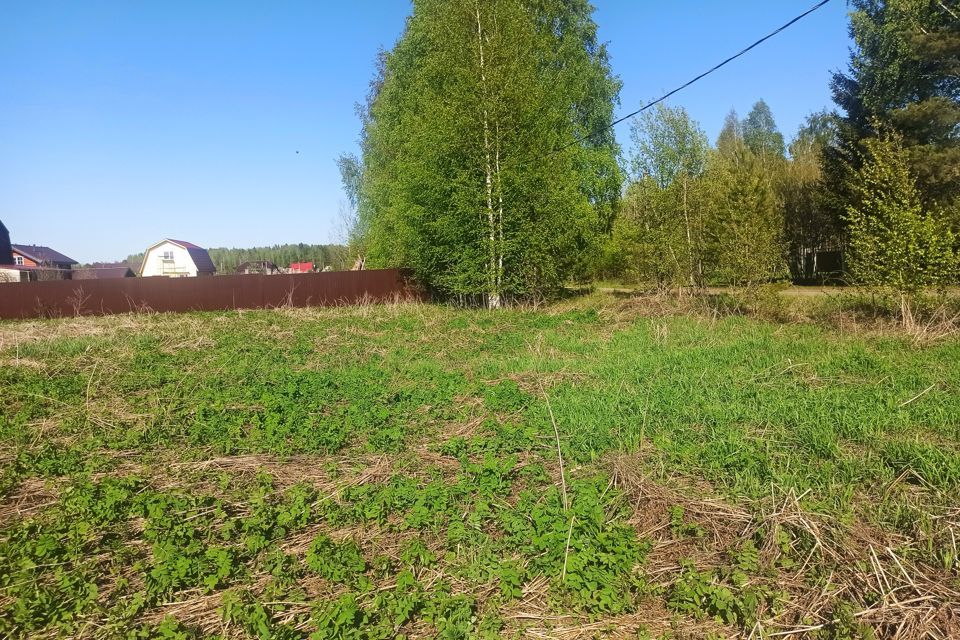 земля г Краснокамск д Клепики ул Льва Давыдычева Краснокамский городской округ фото 6
