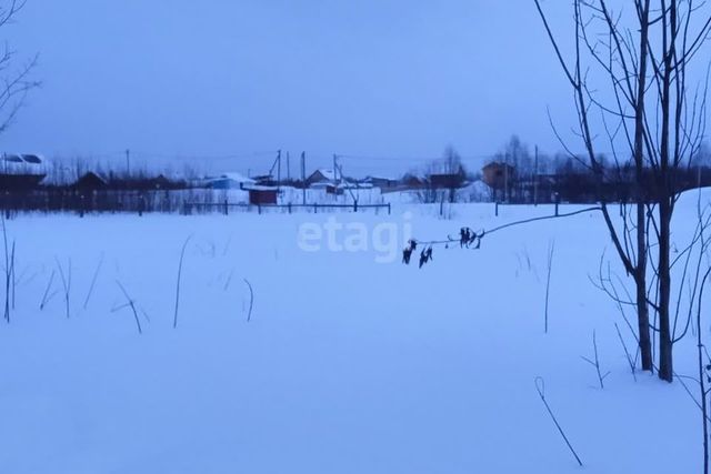 ул Еловая фото