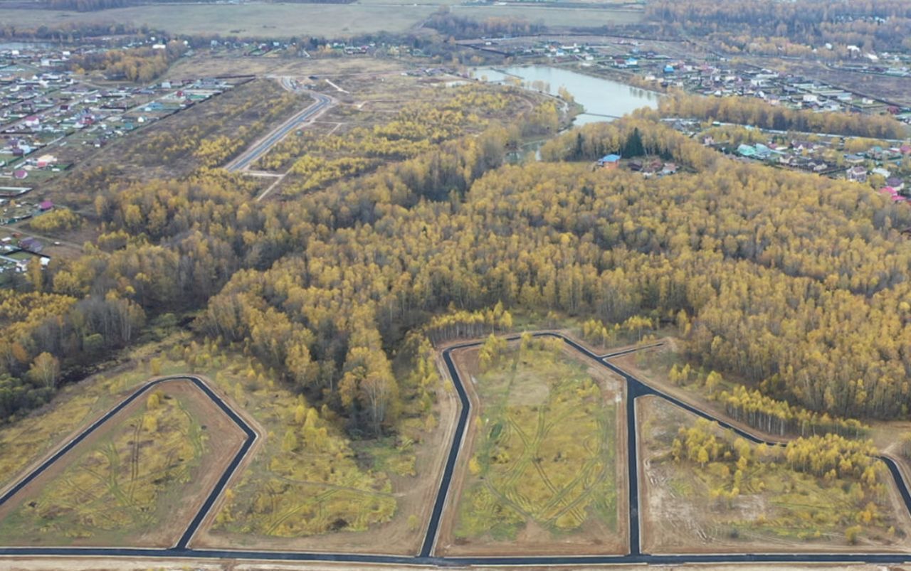 земля городской округ Клин д Губино днт Чистые пруды Клин фото 4