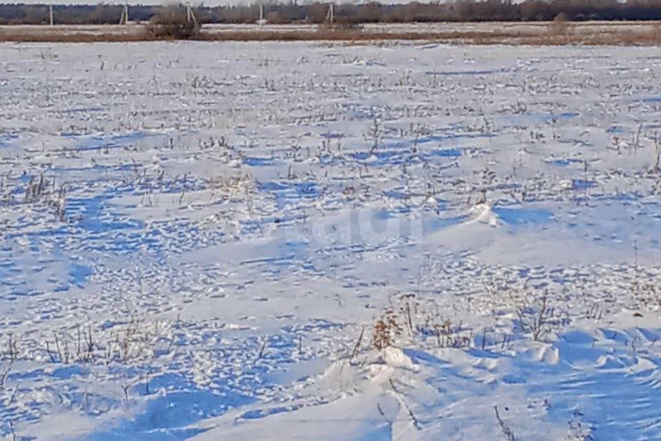 дом р-н Шадринский урочище Журавли фото 6