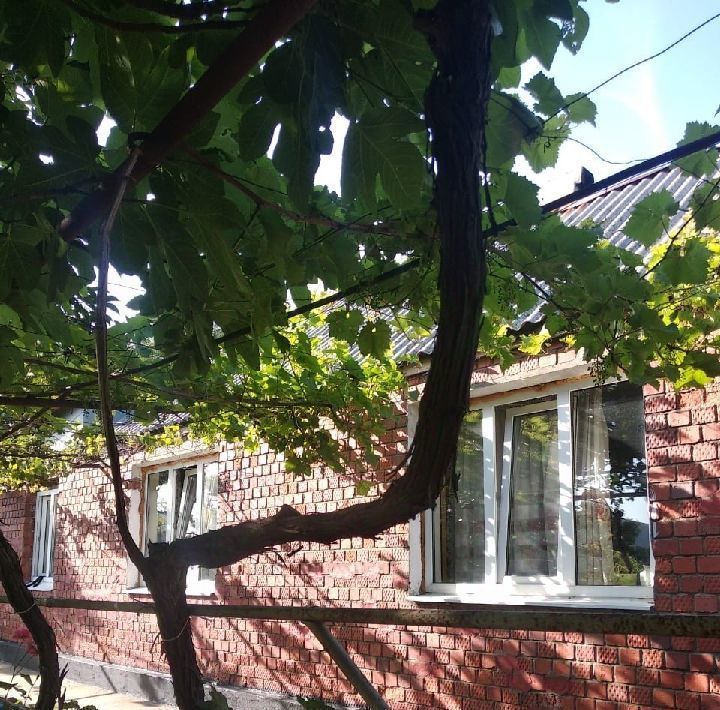 дом г Геленджик с Архипо-Осиповка пер Виноградный фото 1
