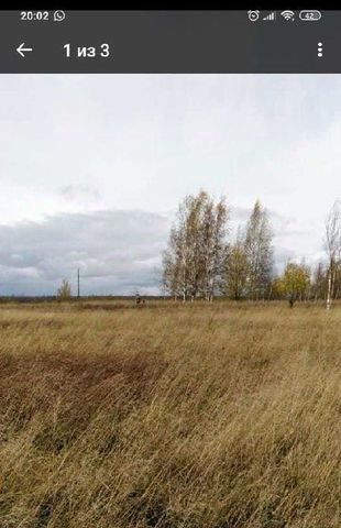 земля Борковское с пос фото