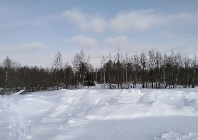земля д Кузнечиха Порздневское сельское поселение, 4, Лух фото