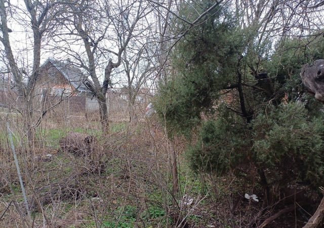 земля р-н Прикубанский муниципальное образование Краснодар, садовое товарищество Сад Кубани фото