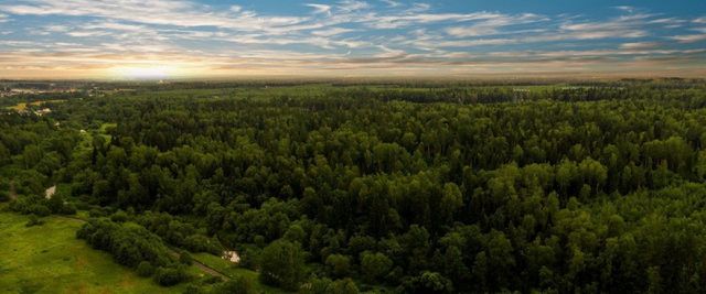 д Вторая Алексеевка ул Лесной уголок фото