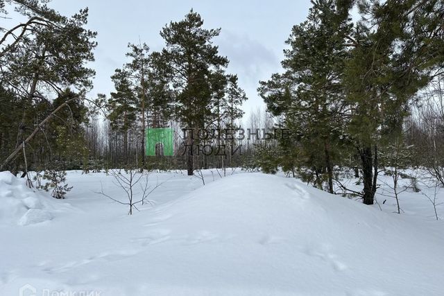 с Семиозерка дачное некоммерческое товарищество Райян фото