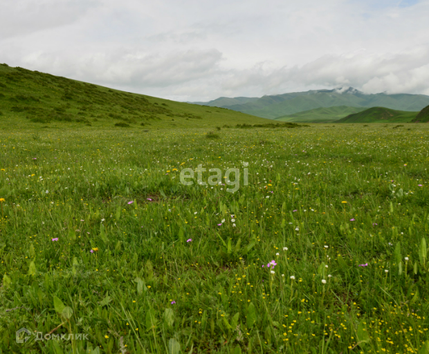 земля р-н Онгудайский село Ело фото 5