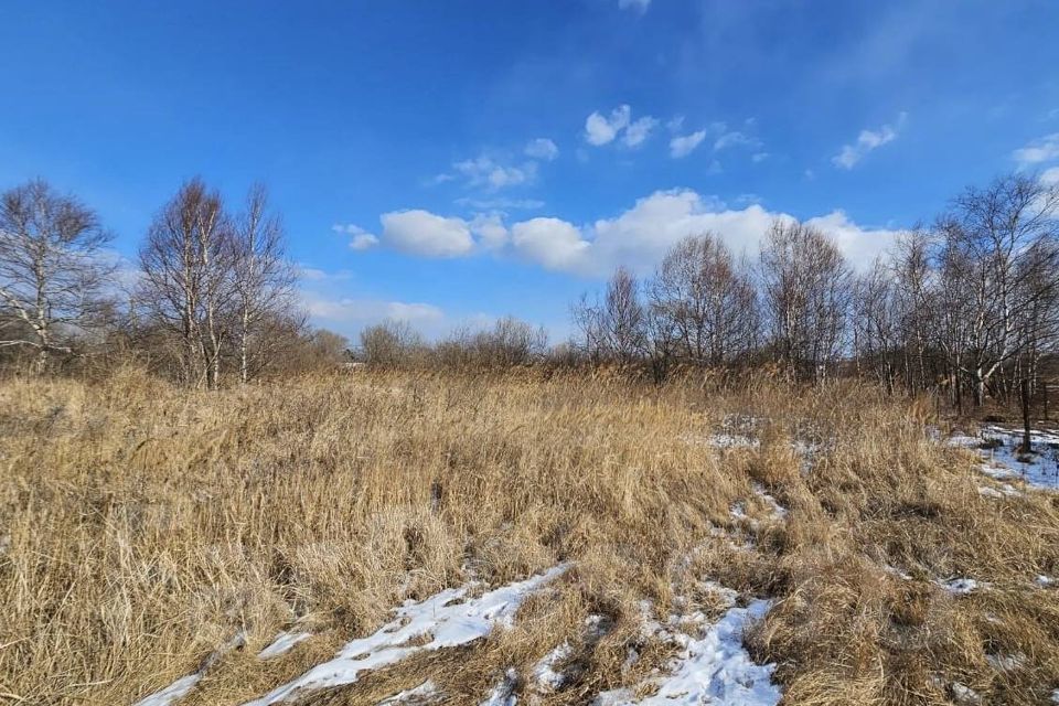 земля р-н Надеждинский п Кипарисово-2 ул Тополиная 1 фото 2
