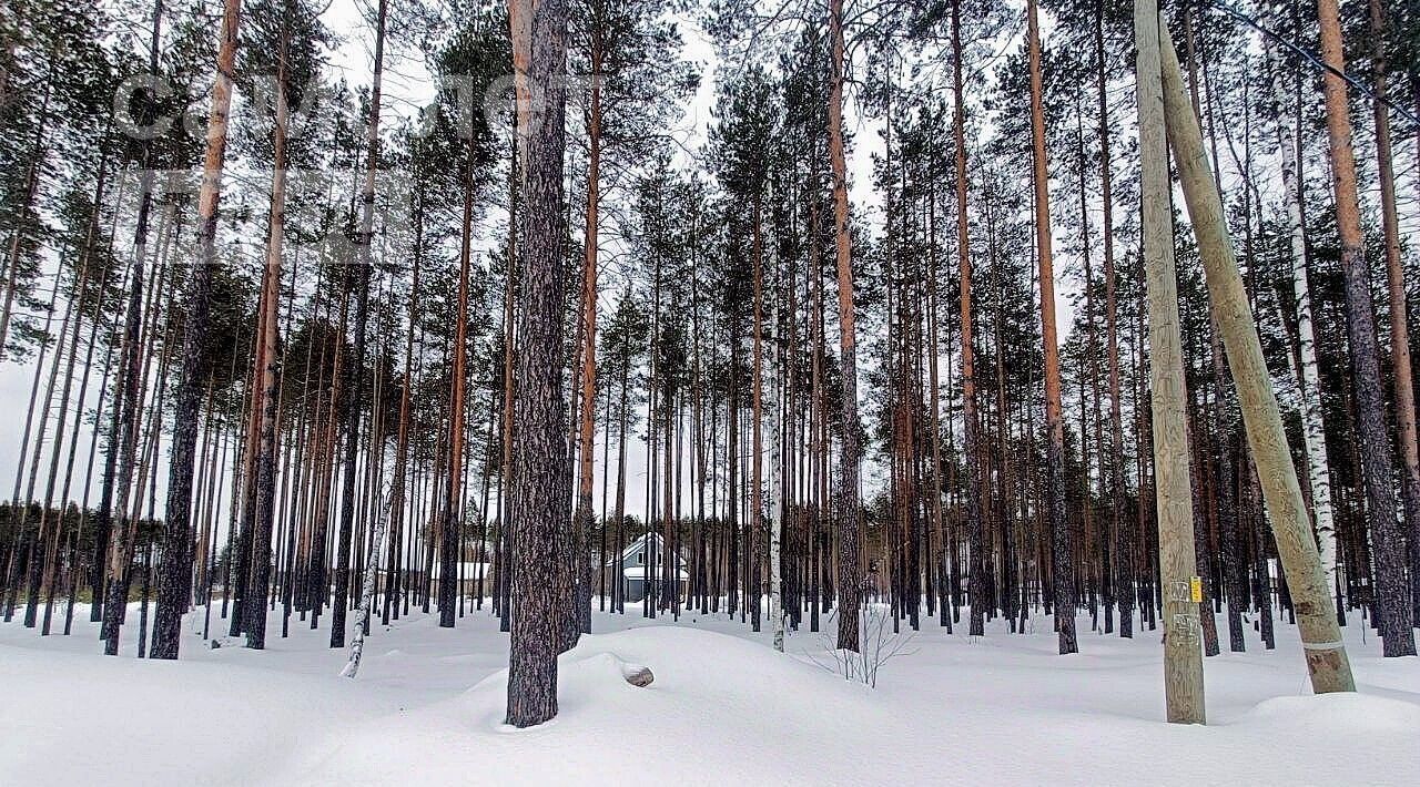 земля г Сыктывкар пгт Краснозатонский ул Линейная 9 фото 3