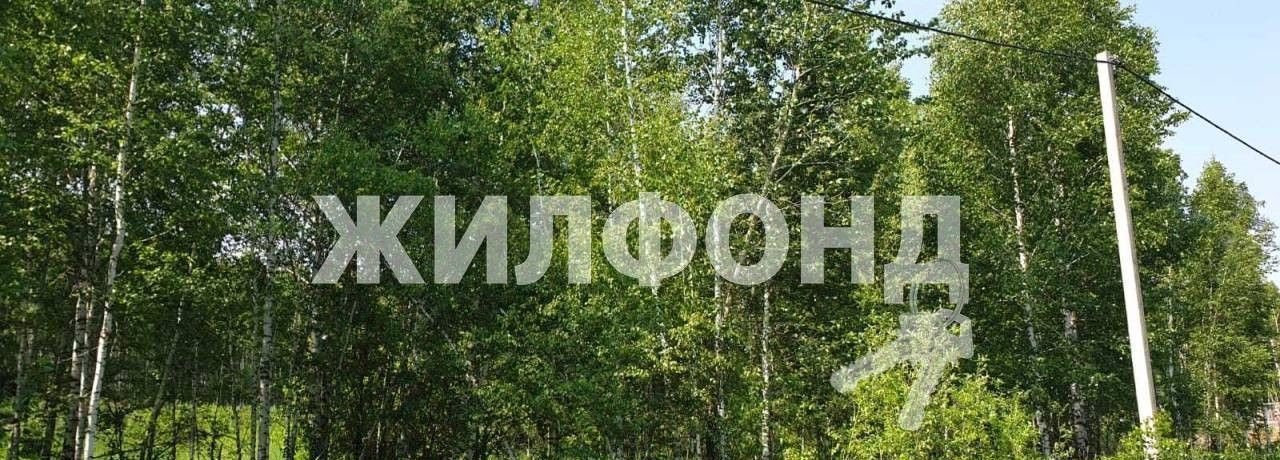 земля р-н Новосибирский снт Энергия-5 пер Ромашковый Новолуговской сельсовет фото 4
