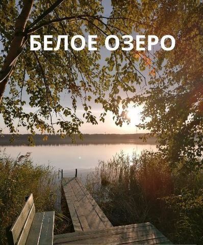 земля п Белое Озеро Дубровское сельское поселение, Пензенская область, Евлашево фото