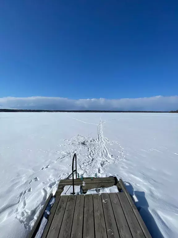 дом г Петрозаводск ул Луговая 253 СНТ Железнодорожник фото 40