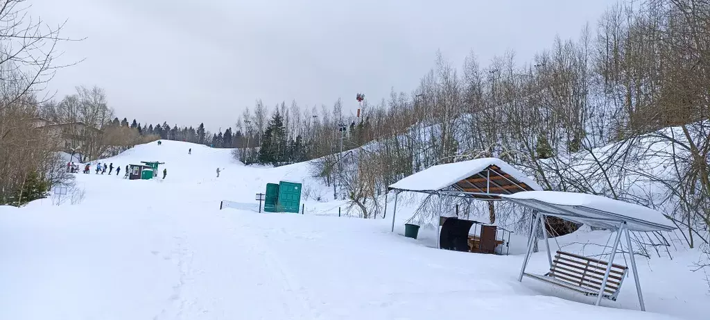 дом городской округ Дмитровский д Спас-Каменка территория, 627, Москва фото 20