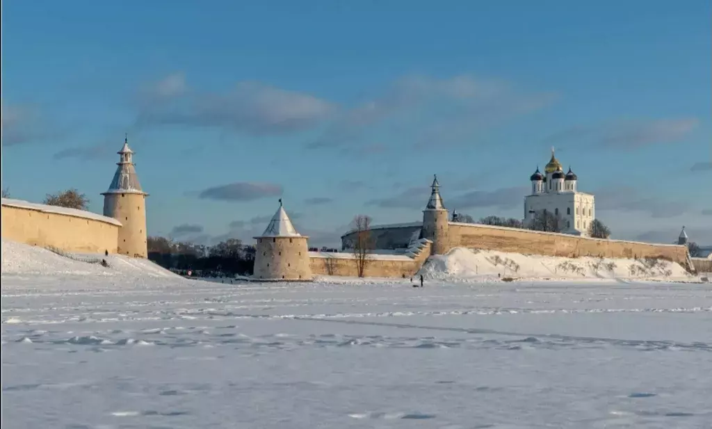 квартира г Псков ул Некрасова 4 фото 27