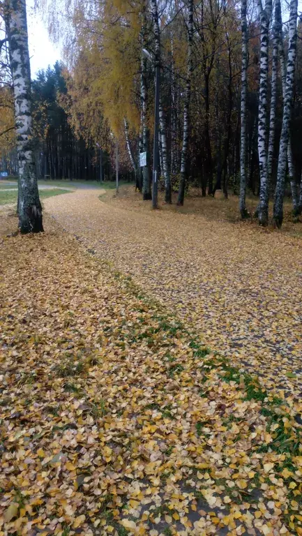 квартира г Дмитров мкр Внуковский 23 фото 20