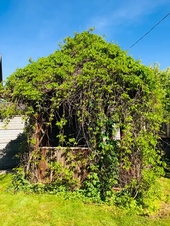 дом Центральная улица, 43В, к 2, Сокольники фото 22