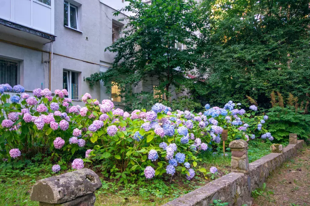 квартира р-н Светлогорский г Светлогорск ул Садовая 6 фото 19