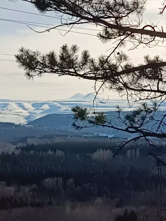 квартира г Кисловодск Губина улица, 20 фото 23