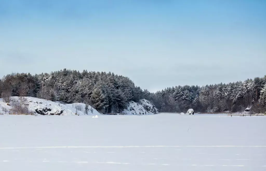 дом р-н Кондопожский с Янишполе ул Лесная 14 Кондопога фото 12