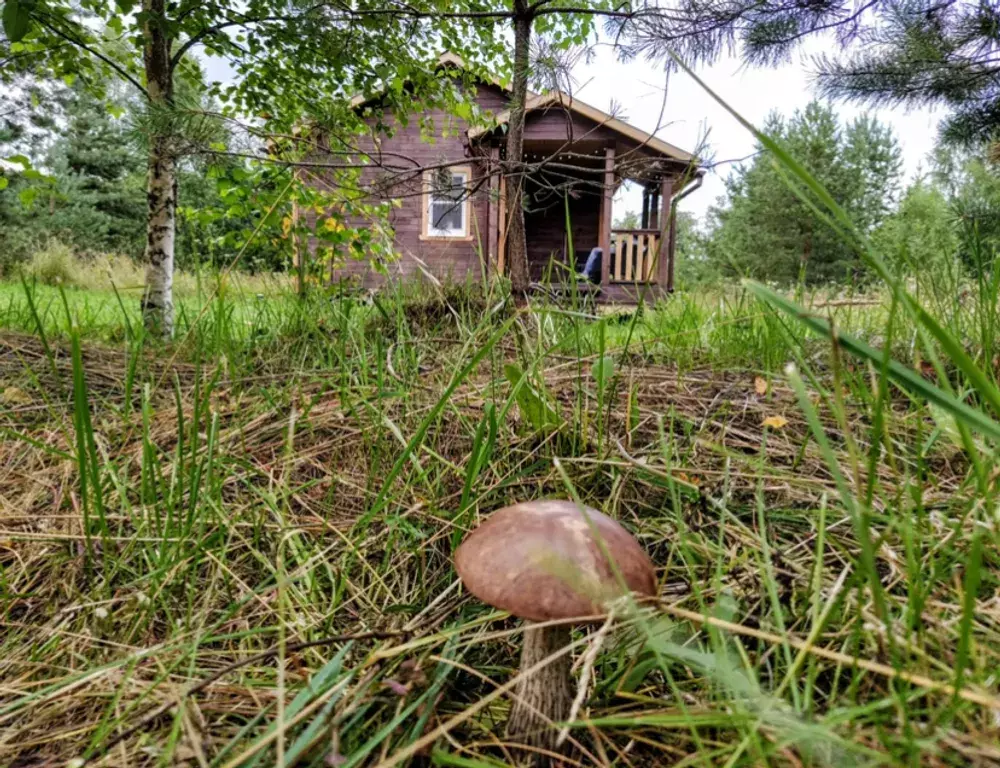 дом р-н Валдайский д Миронеги 1, Валдай фото 21