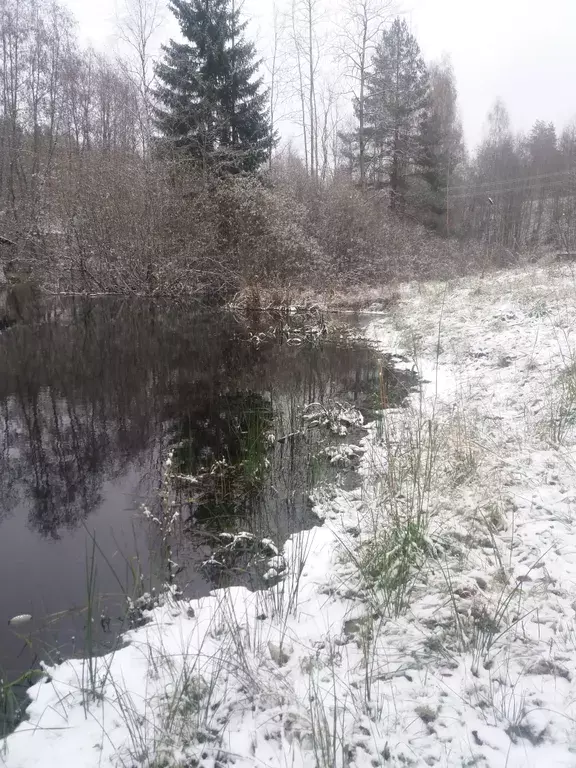 дом р-н Выборгский п Зеленый Холм ул Шоссейная 5 Зеленогорск фото 16