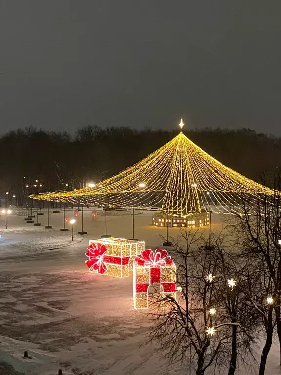 квартира г Великий Новгород пер Юннатов 9 фото 28