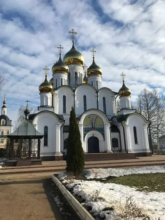 дом г Переславль-Залесский ул Борисоглебская 58б фото 19