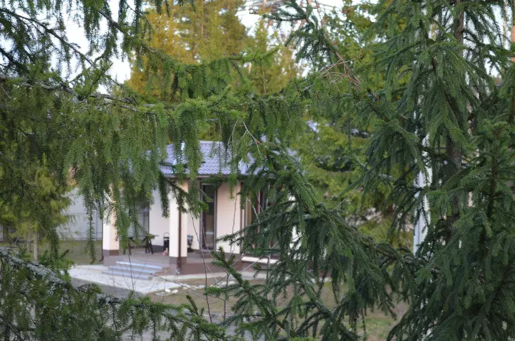 дом городской округ Солнечногорск д Покров снт Водолей территория, 2 фото 1