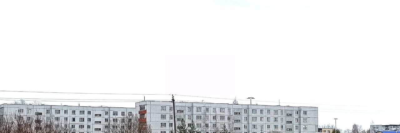 квартира р-н Новгородский д Чечулино ул Воцкая 15 Трубичинское с/пос фото 18