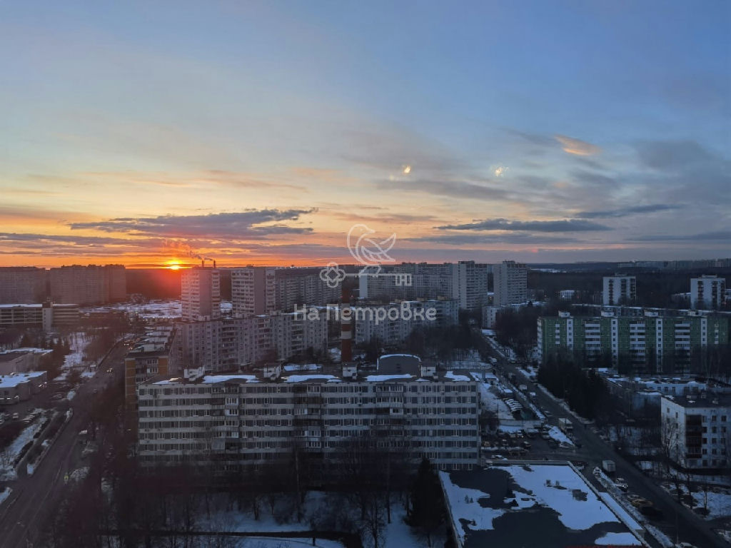 квартира городской округ Зарайск п Масловский Филатов луг, г. Москвитина ул., 1К 1 фото 24