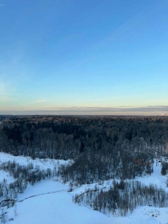 квартира г Красногорск б-р Космонавтов 12к/1 МЦД-2, Опалиха фото 23