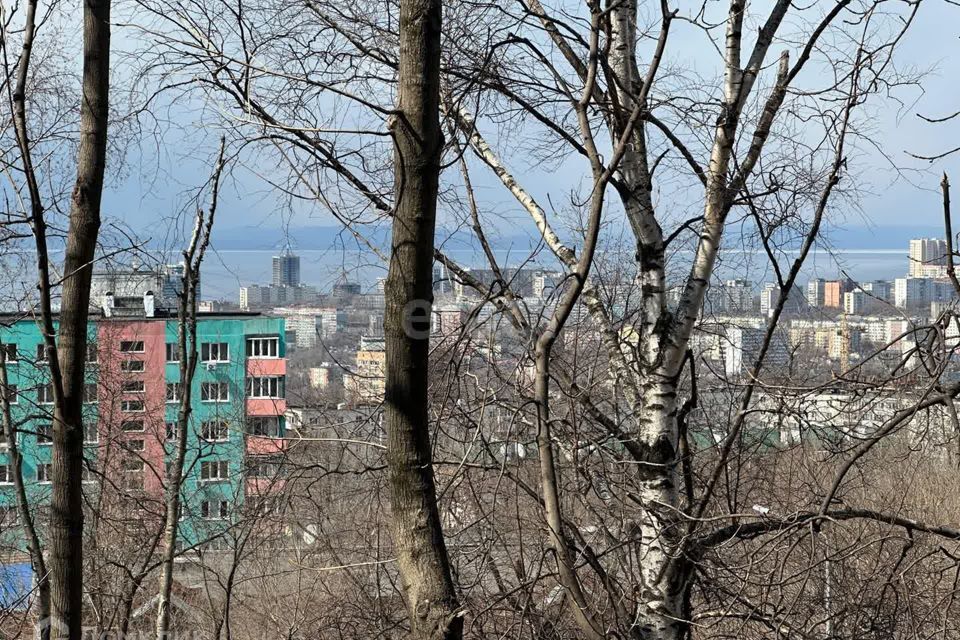 квартира г Владивосток ул Тухачевского 26 Владивостокский городской округ фото 4
