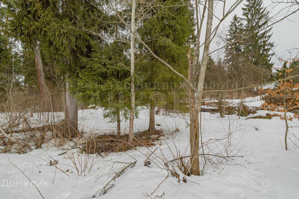 земля г Наро-Фоминск снт Лубянка 298, Наро-Фоминский городской округ фото 10