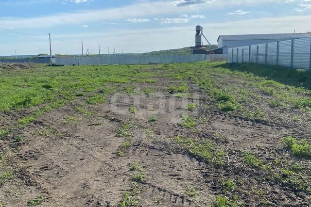 городской округ Воронеж фото