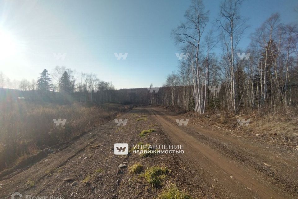 земля г Южно-Сахалинск городской округ Южно-Сахалинск, дачное некоммерческое товарищество Онколог фото 2
