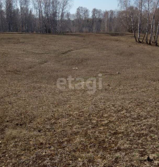 земля р-н Смоленский п Верх-Обский ул Новоселов фото 2