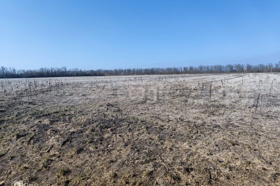 земля р-н Аксайский п Щепкин ул Дружбы народов фото 4