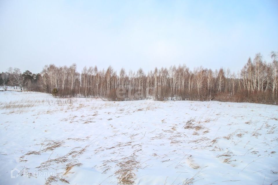 земля р-н Первомайский село Берёзовка фото 3