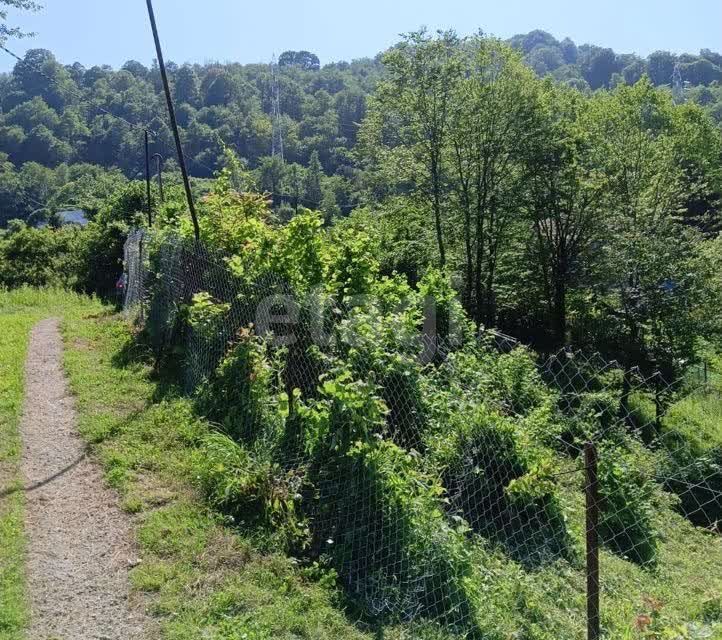 земля г Сочи с Галицыно городской округ Сочи, СТ Черноморец фото 2