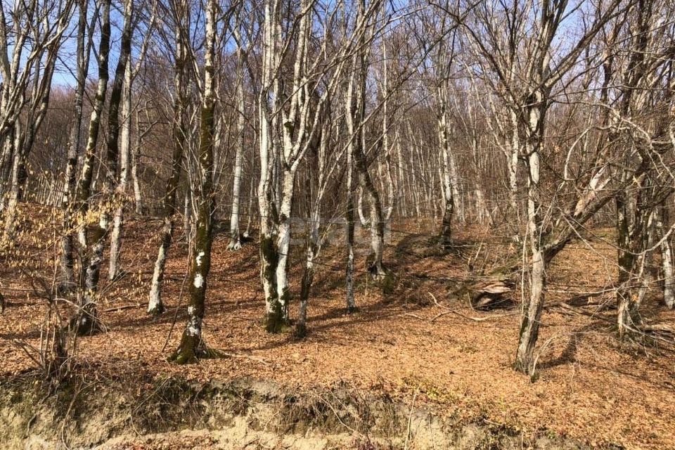 земля г Сочи с Монастырь ул Партизанская 15а/1 городской округ Сочи фото 2