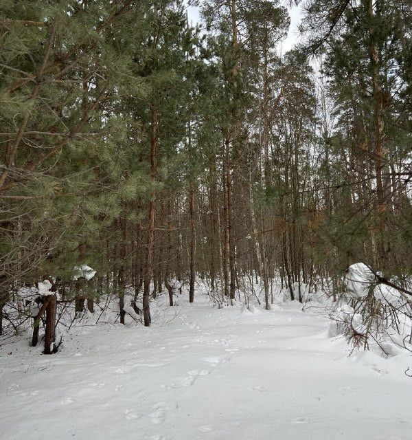 земля г Казань городской округ Казань, садоводческое товарищество Залесный фото 1