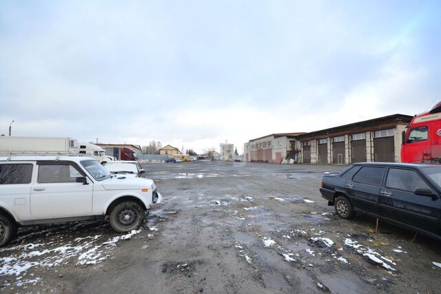 земля городской округ Ялуторовск фото