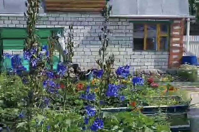 городской округ Сургут, садовое товарищество Чернореченский, Рябиновая улица фото